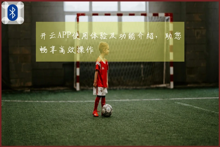 开云APP使用体验及功能介绍，助您畅享高效操作
