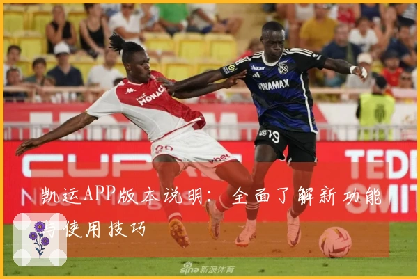 凯运APP版本说明：全面了解新功能与使用技巧